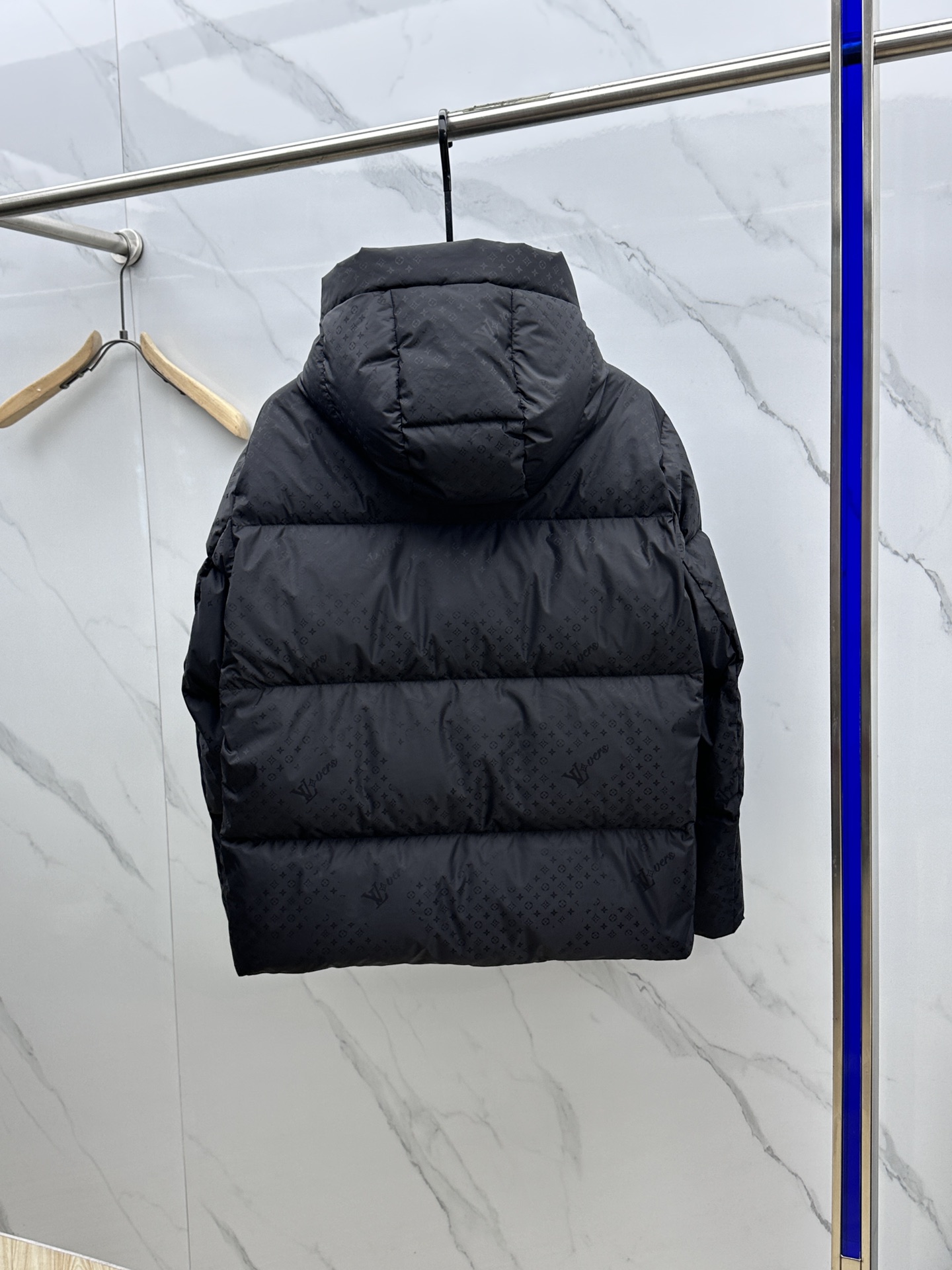 Louis Vuitton Down Jackets